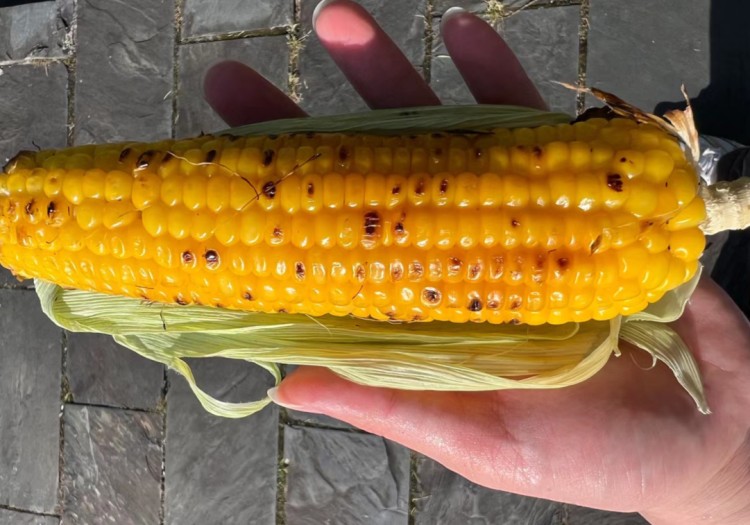 00后女儿旅游第二天拉黑42岁老母亲一天发300条微信吃啥都管